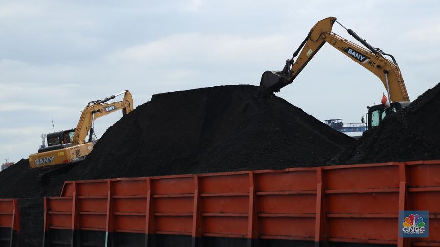 Harga Batu Bara Global Melonjak: Efek Kebijakan AS dan Konflik Geopolitik Guncang Pasar