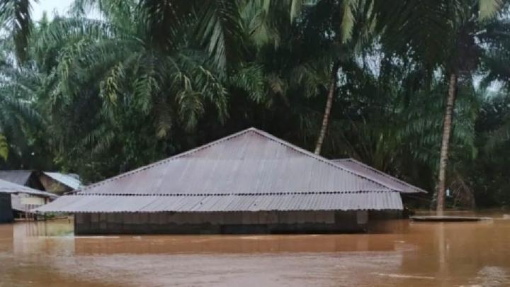 Banjir Bandang Landa Tapanuli Meluas, WALHI Tuding 7 Perusahaan Biang Kerok Kerusakan Lingkungan