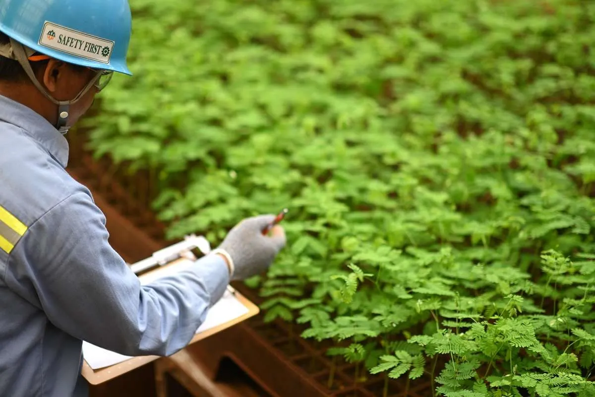 Antam Sabet Gold Rank ASRRAT 2025, Kuatkan Posisi Pemimpin ESG di Asia