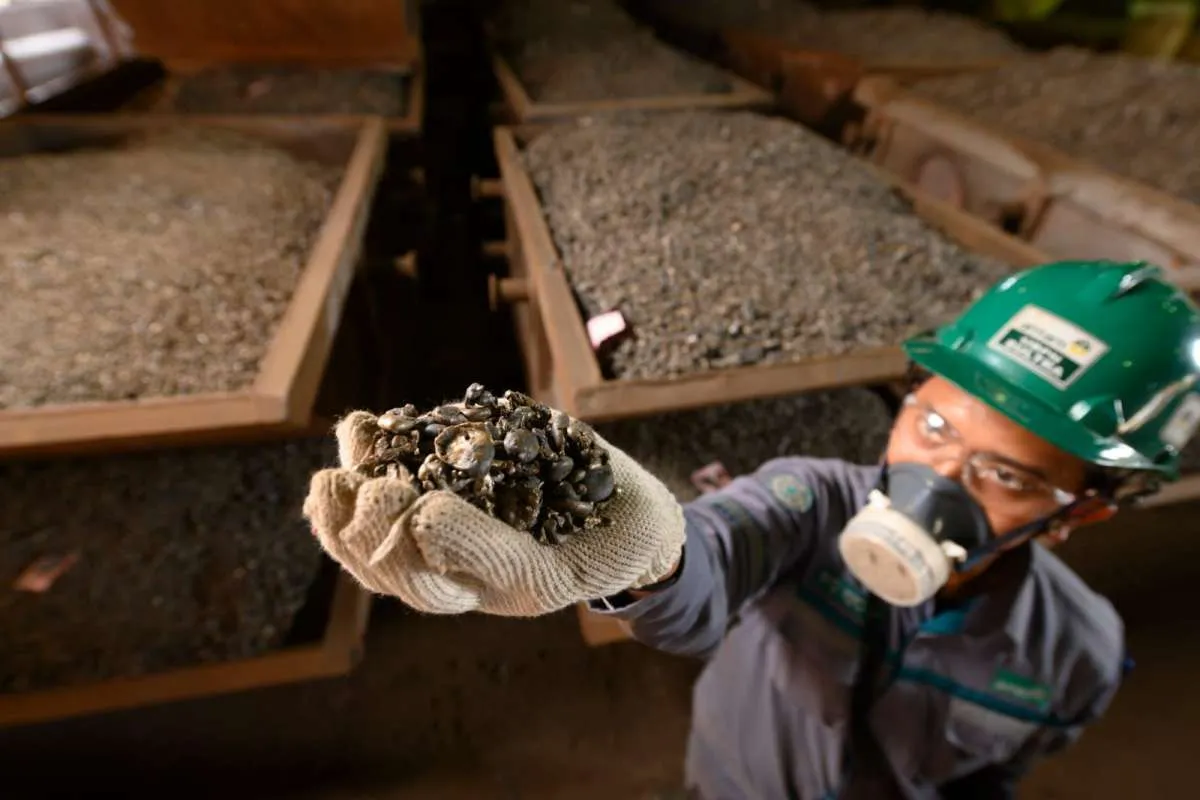 Sektor Barang Material Pimpin Penguatan Bursa Awal 2026, Prospek Cerah Didukung Kebijakan Ekonomi