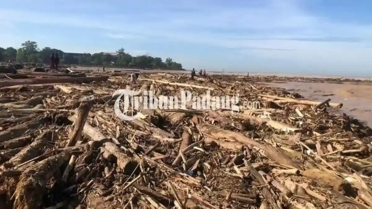 Viral Video Banjir Sumatera Terangkut Ribuan Kayu, DPR Desak Pemerintah Tegas