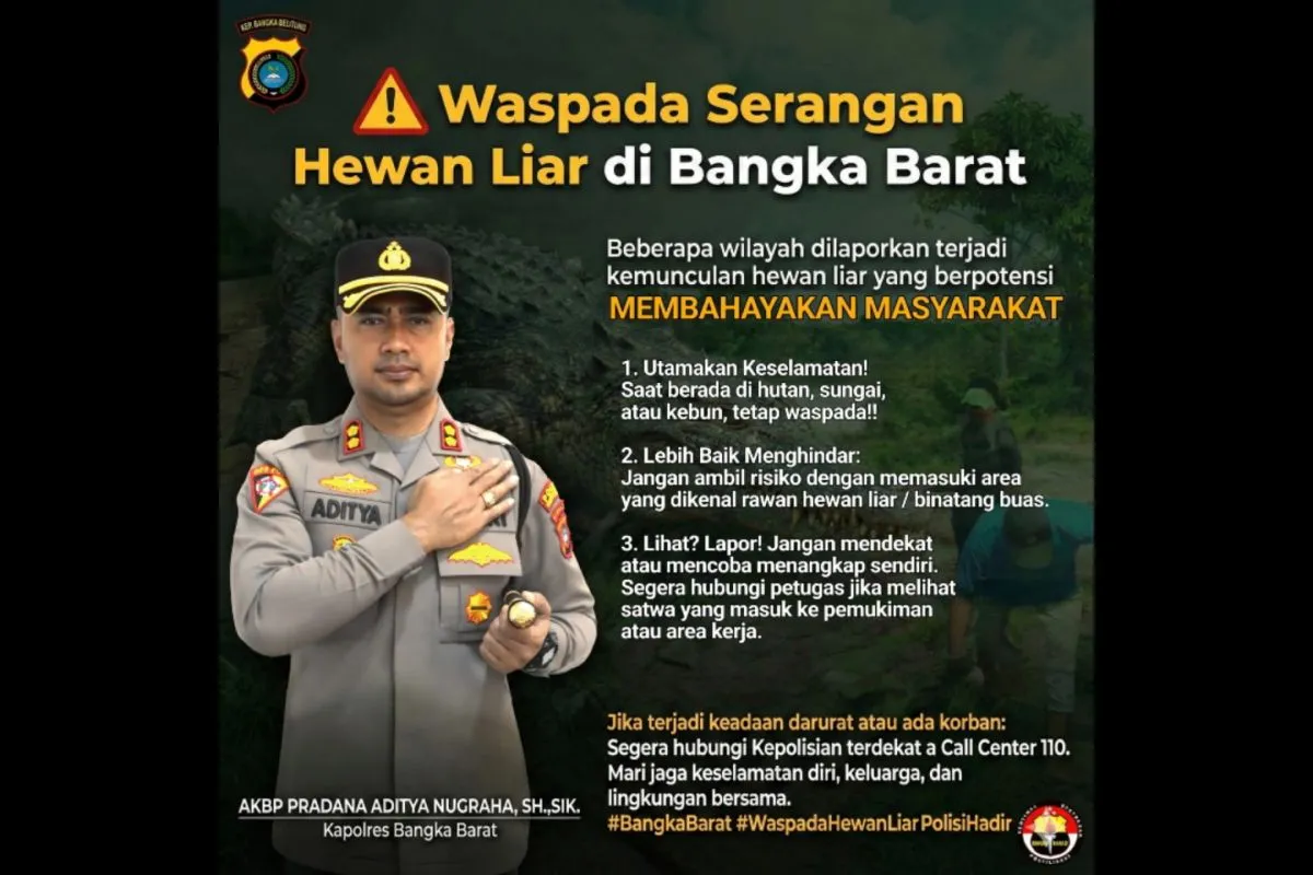 Polres Bangka Barat Rilis Peta Rawan Buaya: Upaya Pencegahan Serangan demi Keselamatan Warga