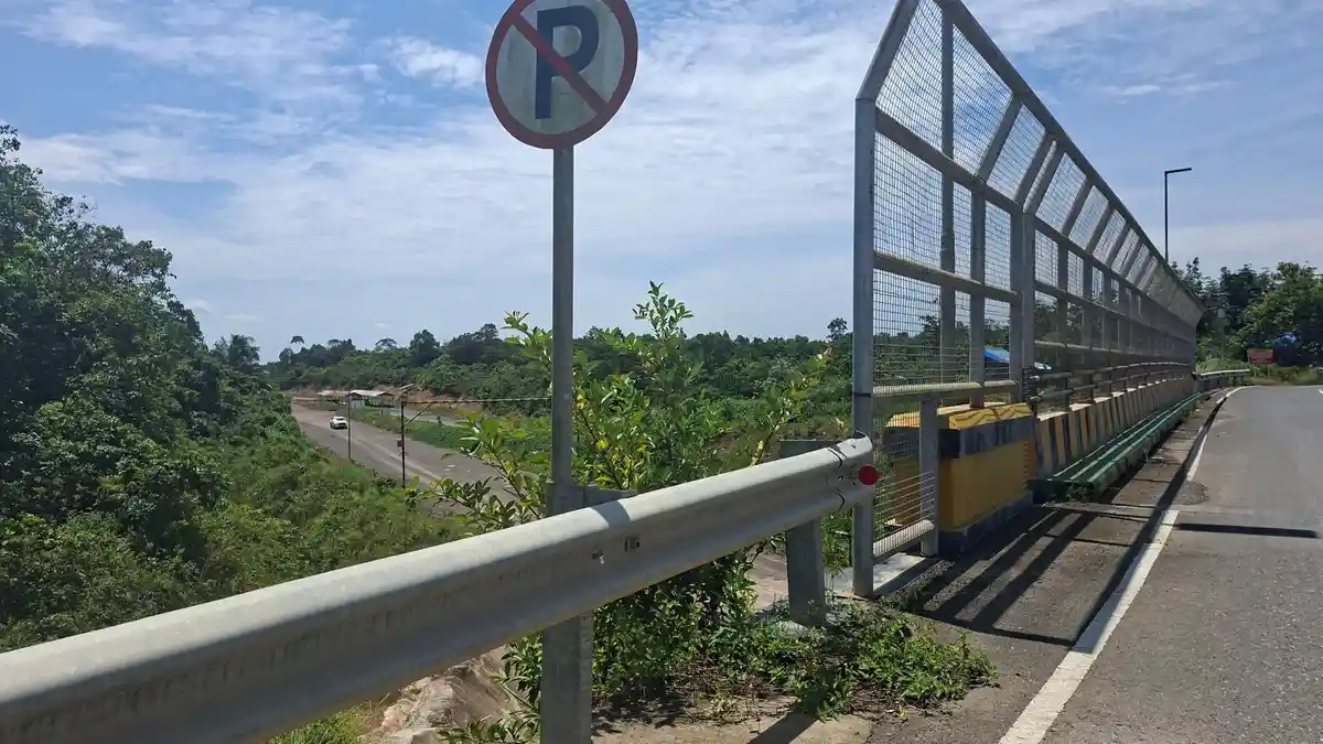 Pembekuan IUP PT SSC Picu Gelombang PHK di Kotabaru, Ribuan Karyawan Terancam Kehilangan Mata Pencarian