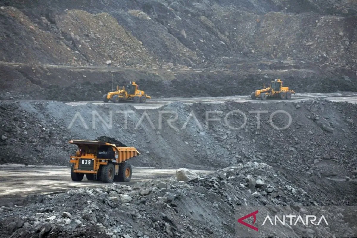 Ekonom UGM Dorong Implementasi Bea Keluar Batu Bara: Peluang Strategis untuk APBN dan Ketahanan Energi