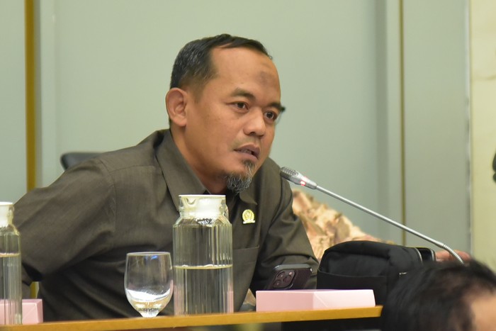 DPR Mendesak Kemenhut Bertindak Cepat Ungkap Jaringan Pembalakan Liar Pemicu Bencana Lingkungan